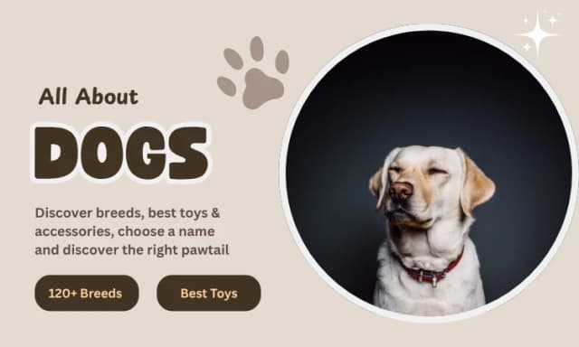 All About Dogs