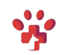 ThePawTailCo
